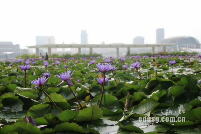 �¼�����ѧ