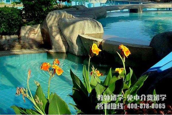 �¼��½�������ѧԺ�������̴�ר�γ�����Щ