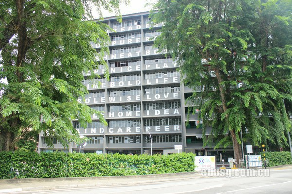 新西兰理工学院什么专业好