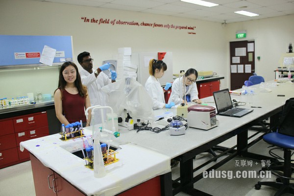 去新加坡留学读什么专业好