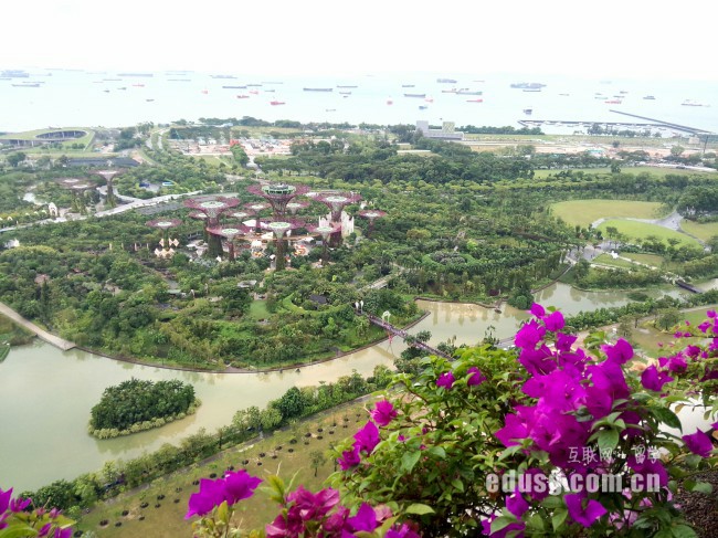 新西兰语言课程怎么样