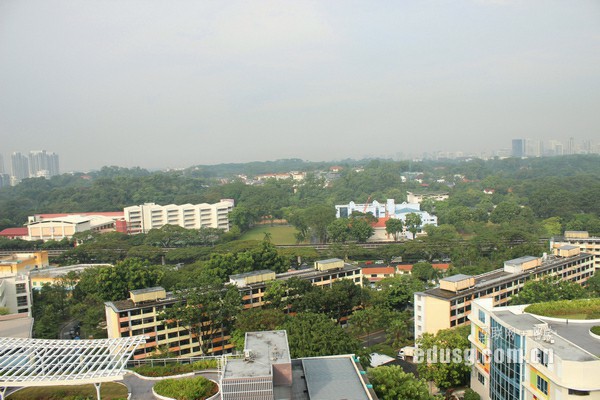 新西兰怀卡托大学管理学怎么样