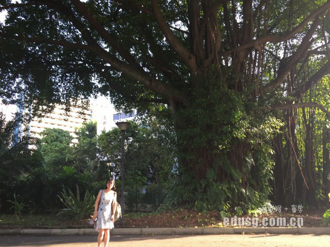 ��ʢ������ѧԺ����ѧ��