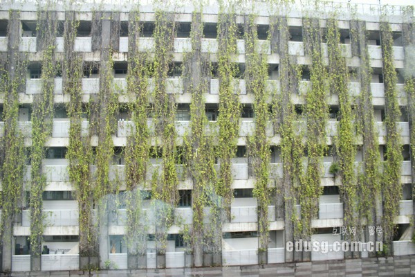 2016新加坡市场学院申请