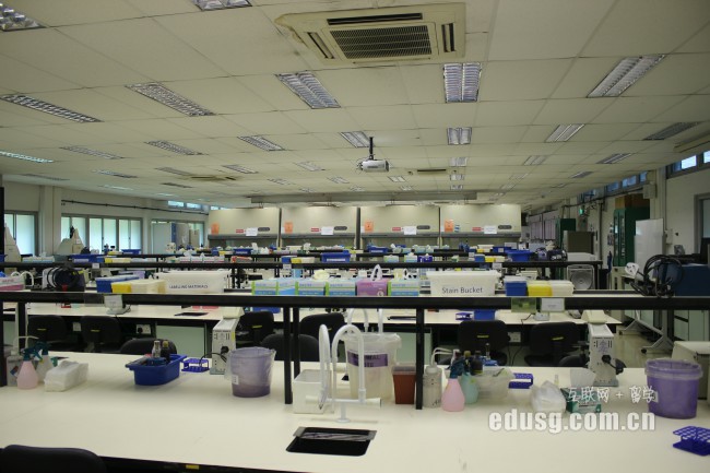 新加坡旅游管理学院有哪些专业