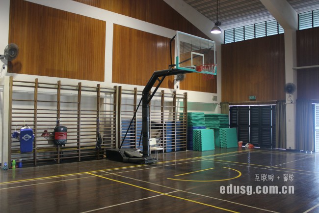 新加坡市场学院有什么热门专业