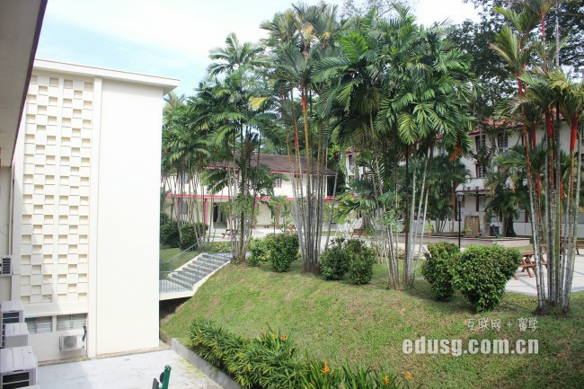 新加坡幼教本科专业