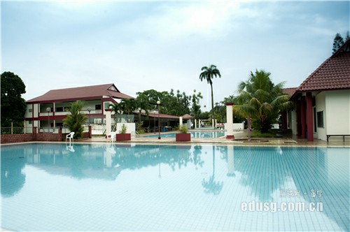 新加坡南洋现代管理学院热门专业