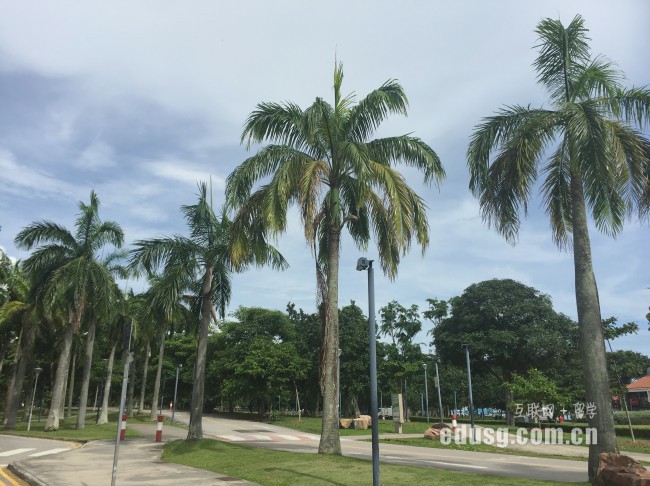 新加坡市场学院有哪些研究生专业