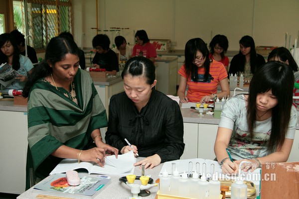 新加坡留学学费多钱