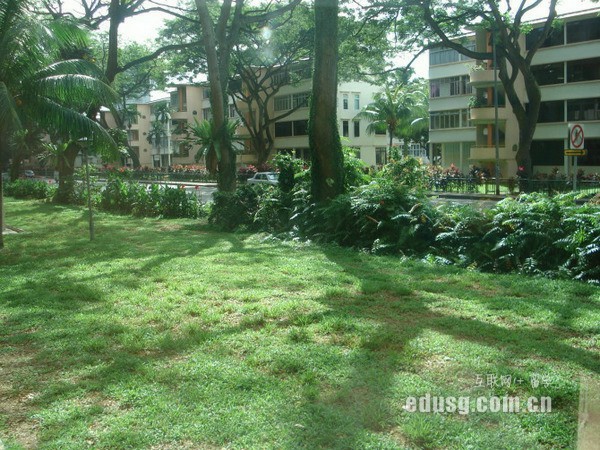 新加坡东亚管理学院雅思要求