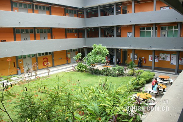 去新加坡读大学条件