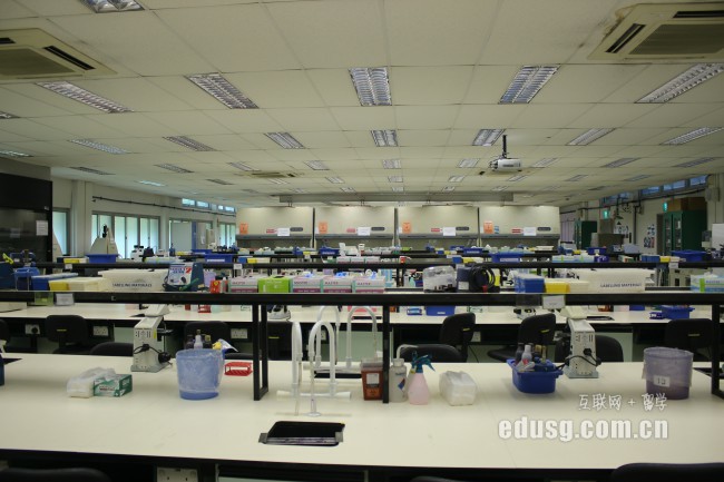 马来西亚上小学好吗