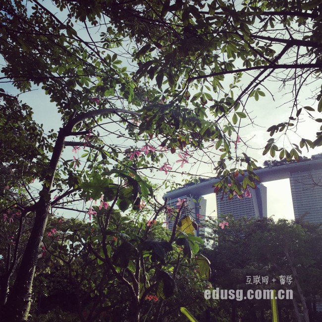 新加坡留学法律专业必备条件