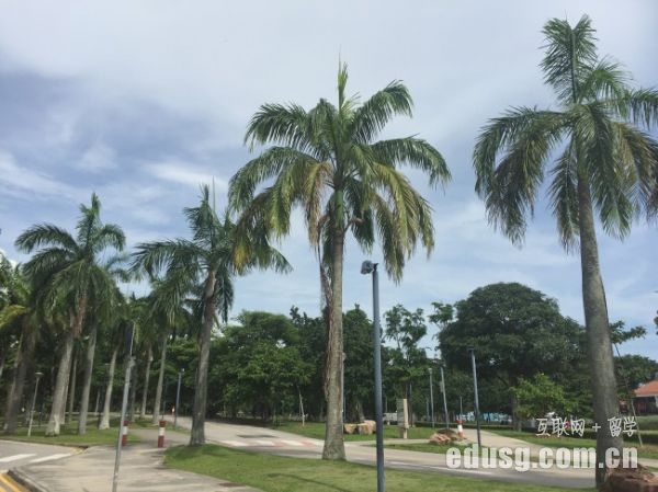 �¼���������Сѧ����