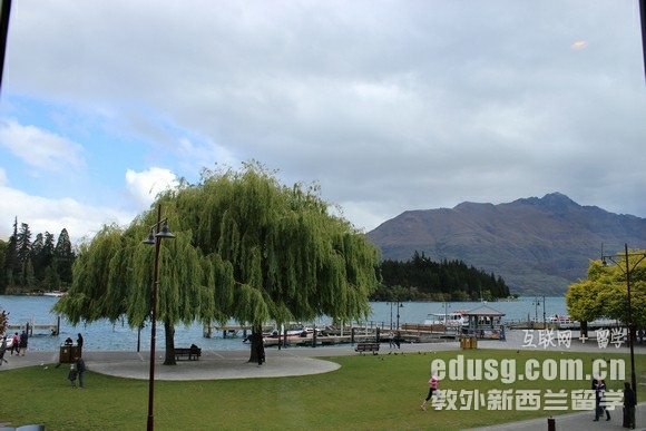 新西兰教育全球排名