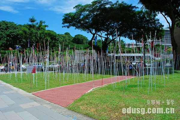 新加坡有哪些学院