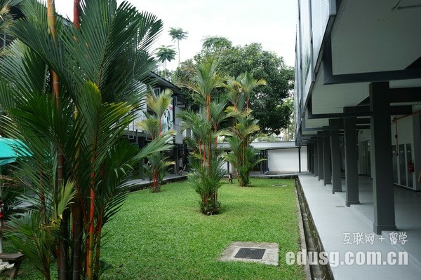 高中去新加坡大学
