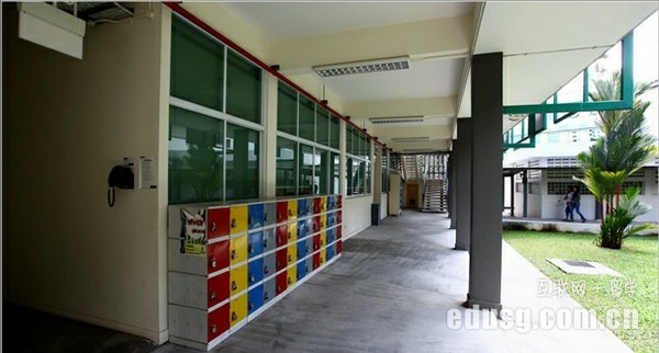 新加坡最新小学排名前十