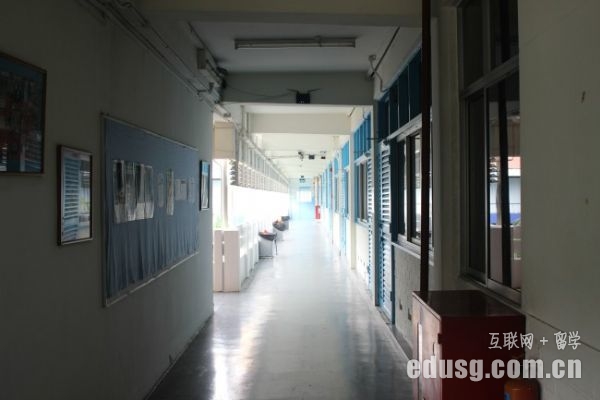 新加坡最新小学排名前十