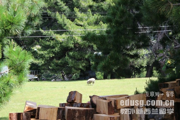 �¿�����ѧ�Ͱ������ѧ�ĸ���