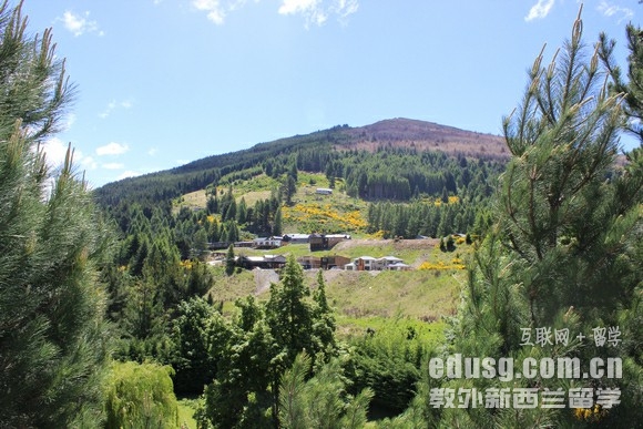 新西兰untec与aut哪个好