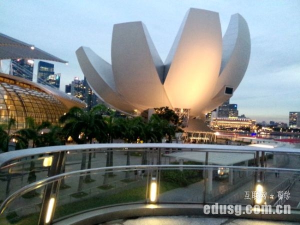 新加坡哪些大学不错