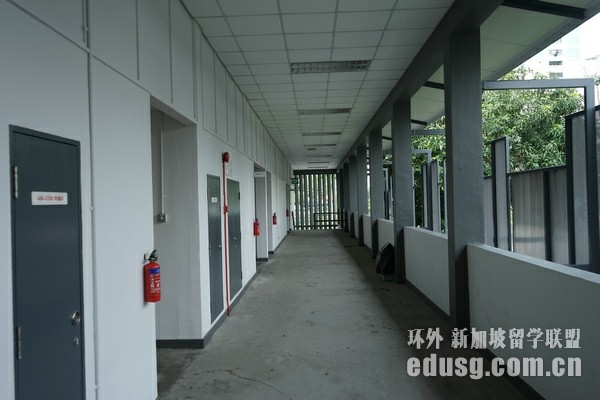 中国人去新加坡上小学