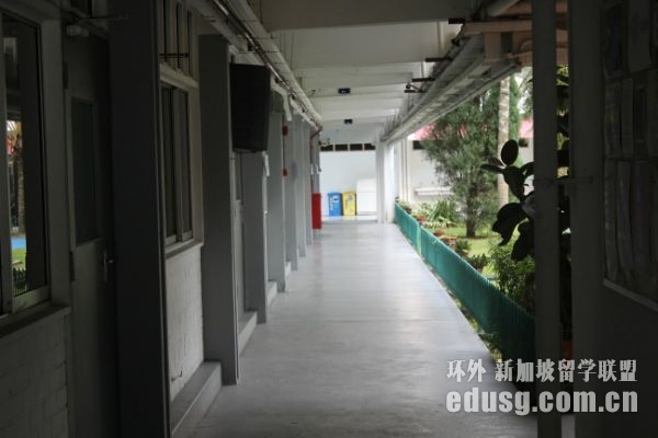 中国人去新加坡上小学