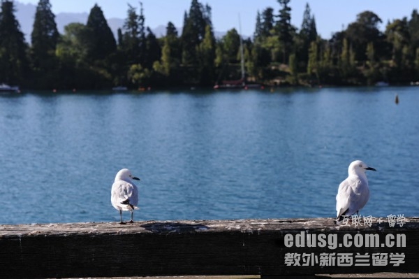 ��������Щ����ѧԺ������רҵ