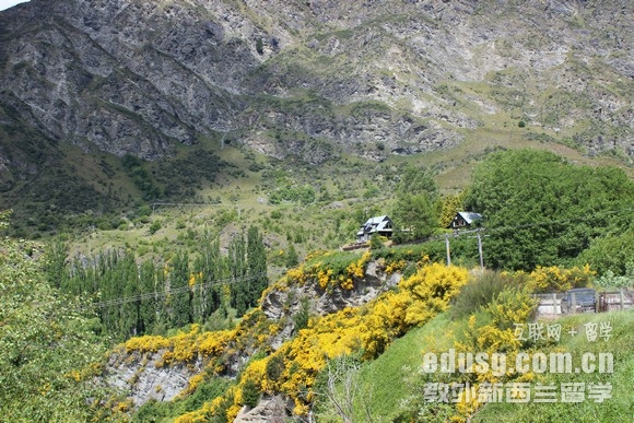 新西兰学历中国认可吗