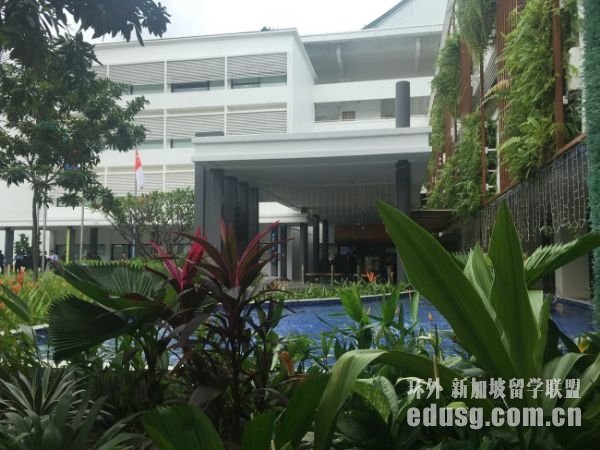 新加坡读酒店旅游硕士专业哪所学校好