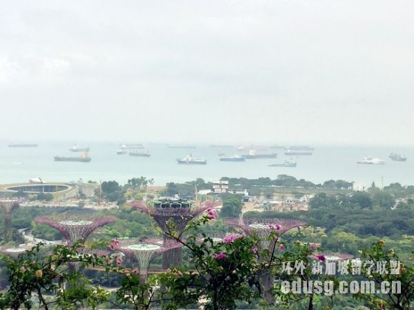 �¼����ļ�ѧУ������ѧרҵ