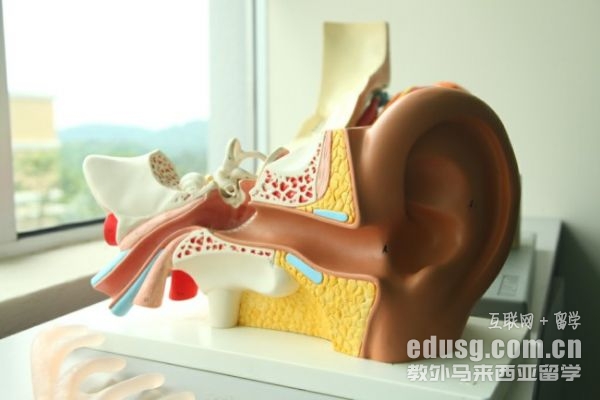 马来西亚英迪国际大学汝来学院好吗