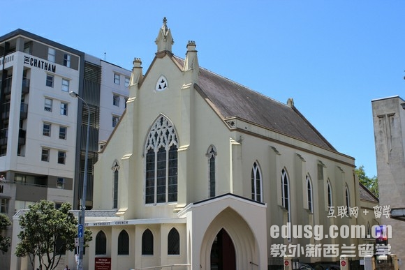 ��������Щרҵǿ