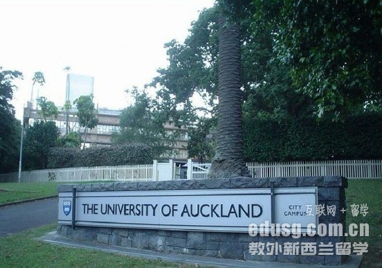 奥克兰大学学前教育研究生