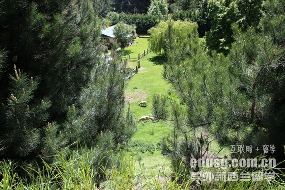 新西兰一家人一起申请