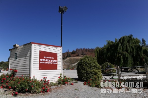 �����������Ĵ�ѧ����