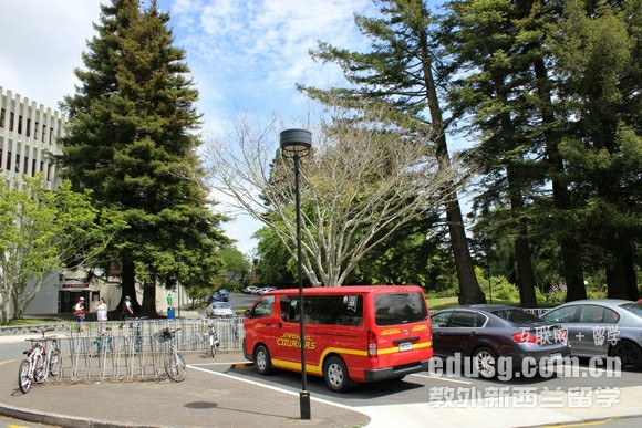 怀卡托大学数学科学学院