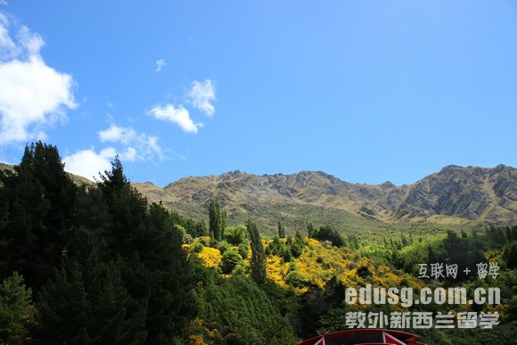 ������ʲôרҵ��