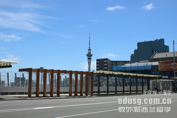 新西兰八所大学介绍