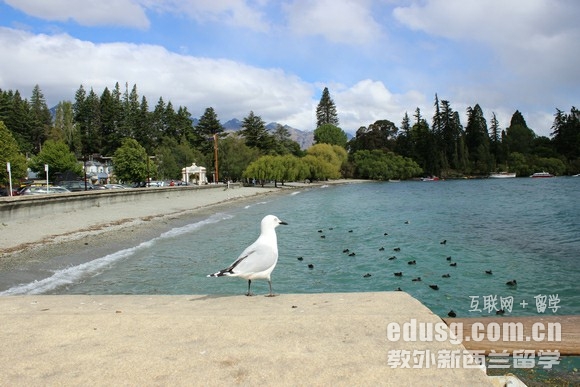 新西兰留学能留下来吗