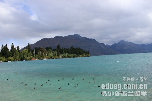 新西兰留学能留下来吗