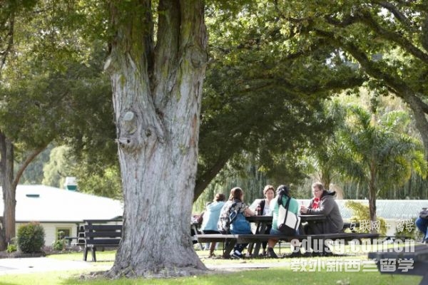 新西兰国立北方理工怎么样
