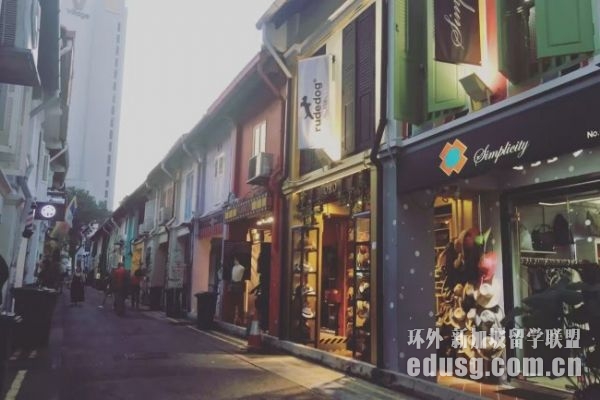 中国小孩去新加坡上学