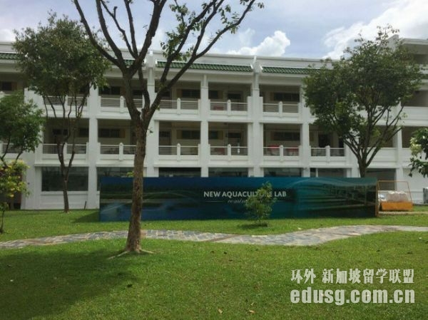 新加坡读大学一年费用
