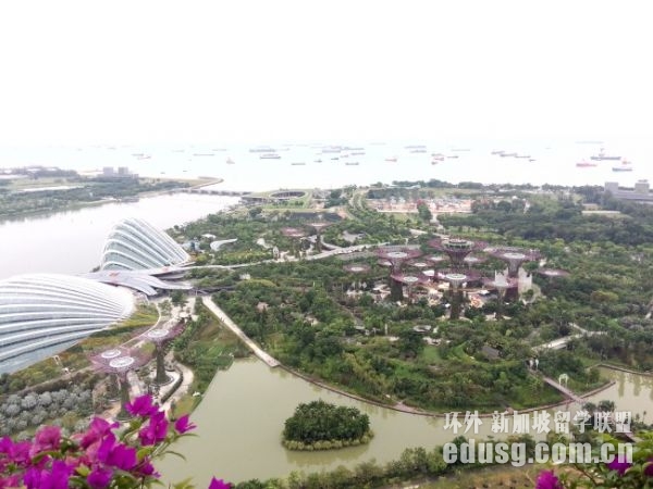 ��������ѧ��Ҫ�߿���