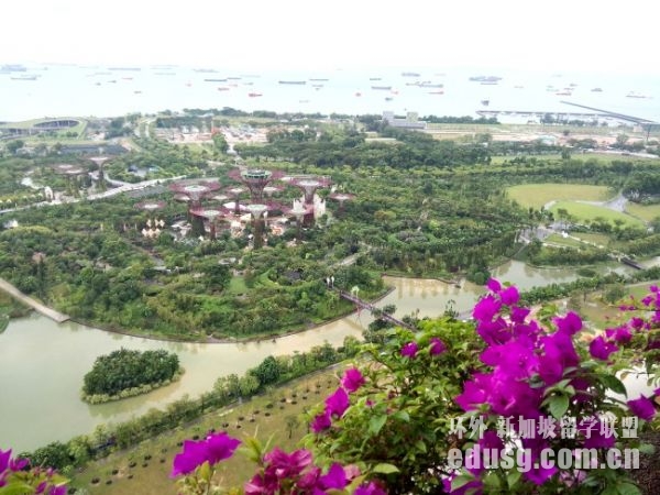 去国外留学要高考吗