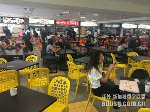 怎样办新加坡留学