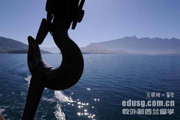 奥克兰理工大学和怀卡托大学哪个好